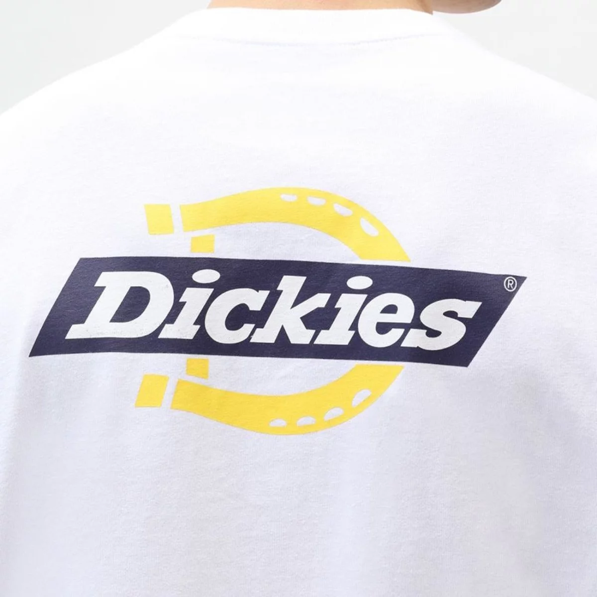 dk0a4xdcwhx1-3_13-1-huge-6657861301e96