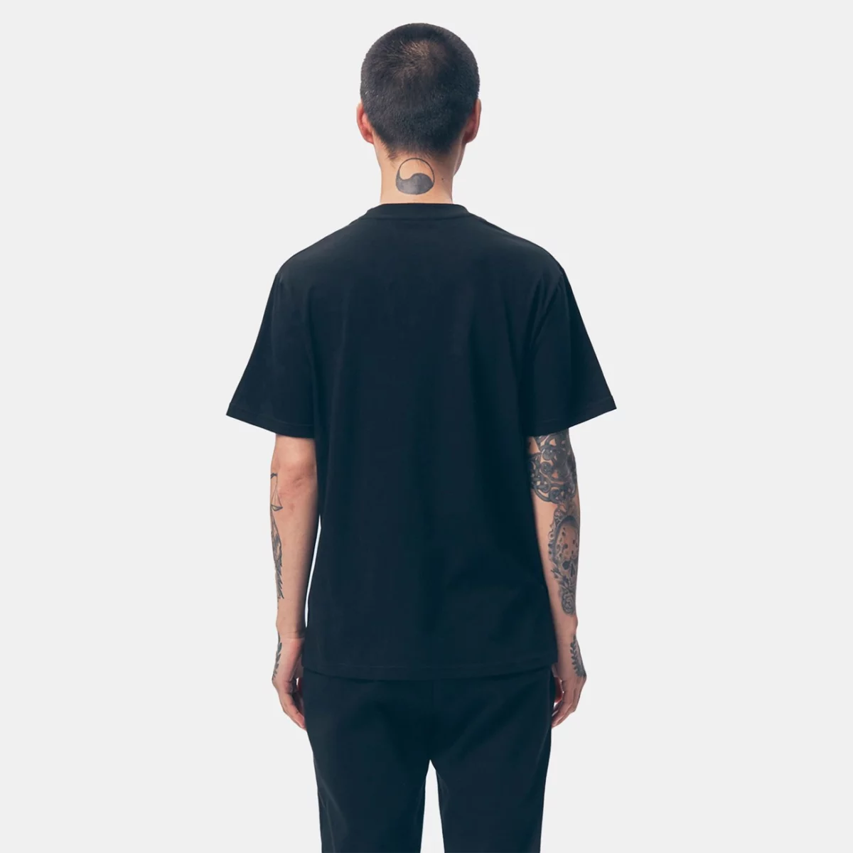 tfk-ts-43-2-huge-665770f129a34