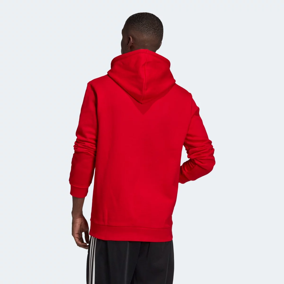 0046130_trefoil-hoodie_gd9924_back-view-huge-66573cfe3b5da