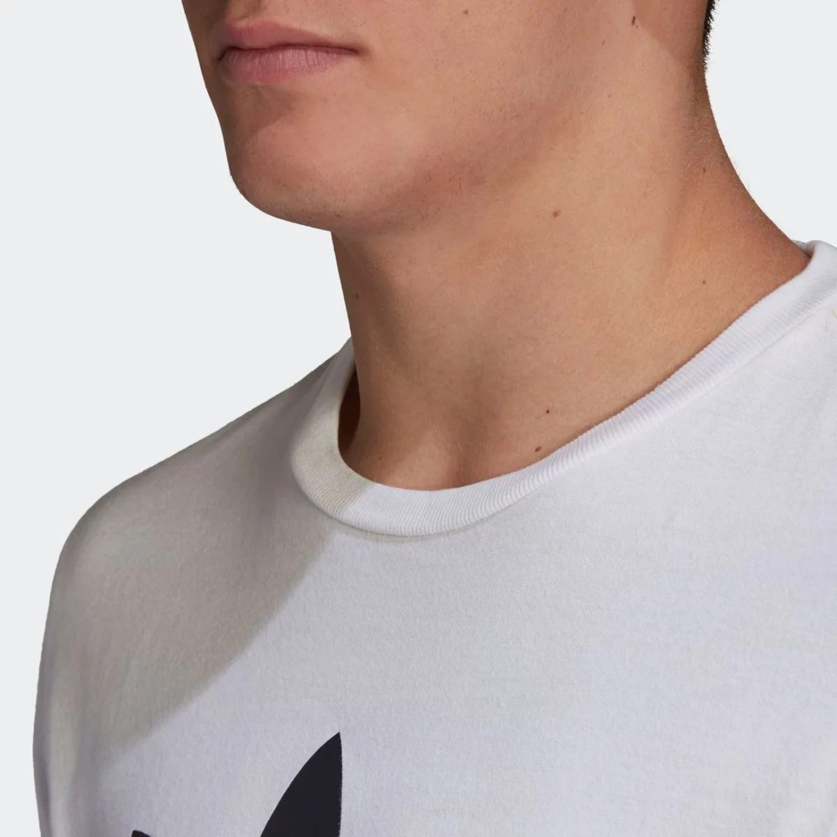 image-huge-6657389e2d8c0