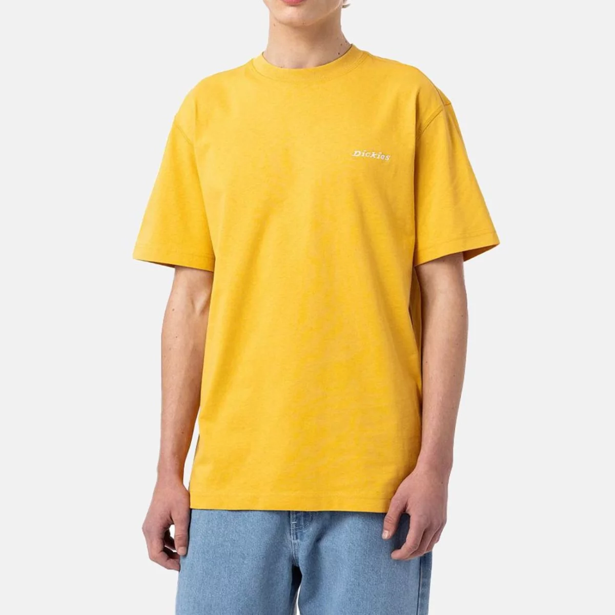 dickies-loretto-t-shirt-honey-gold-huge-66579b656824e