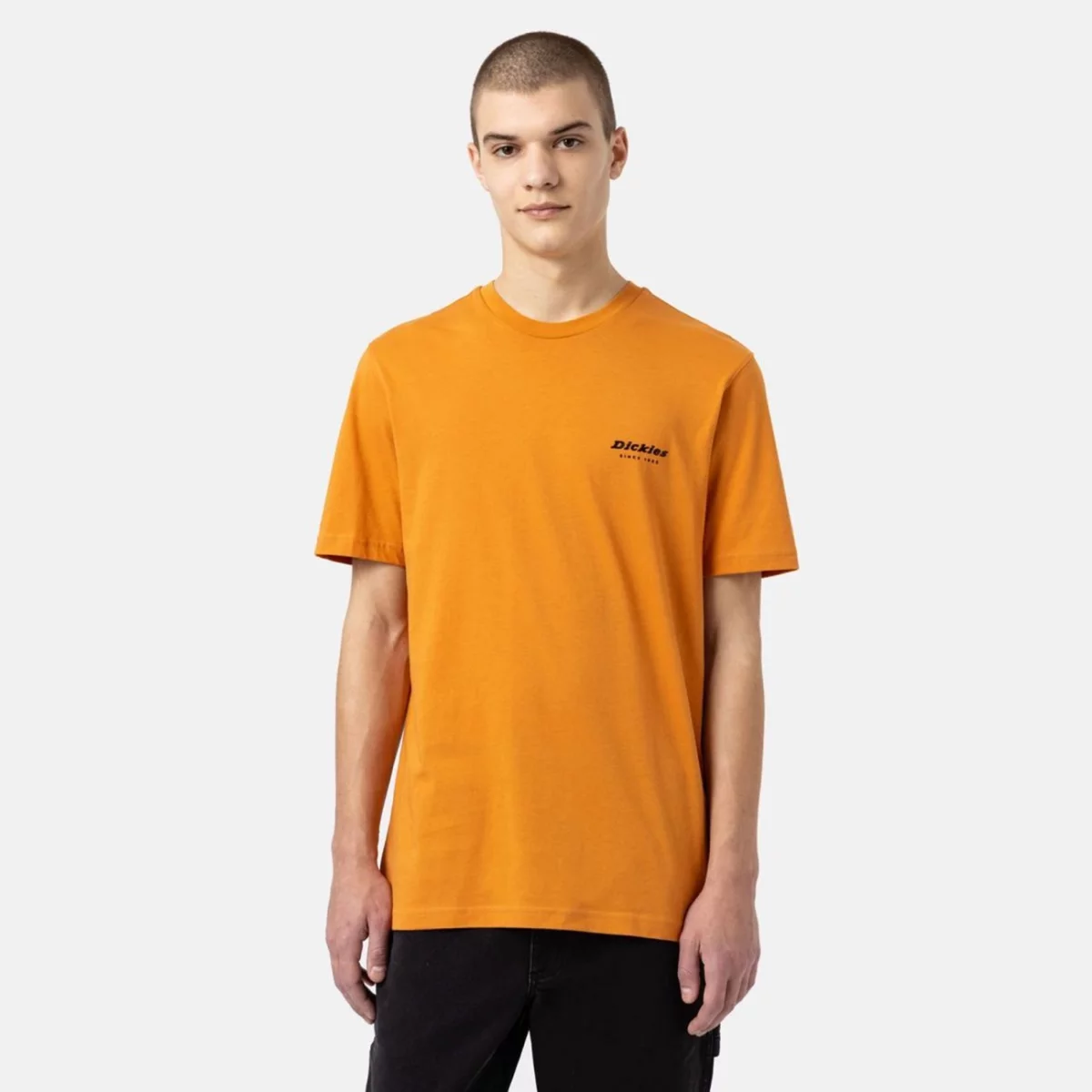 dk0a4xnyc381-1_13-huge-6657859b000c6