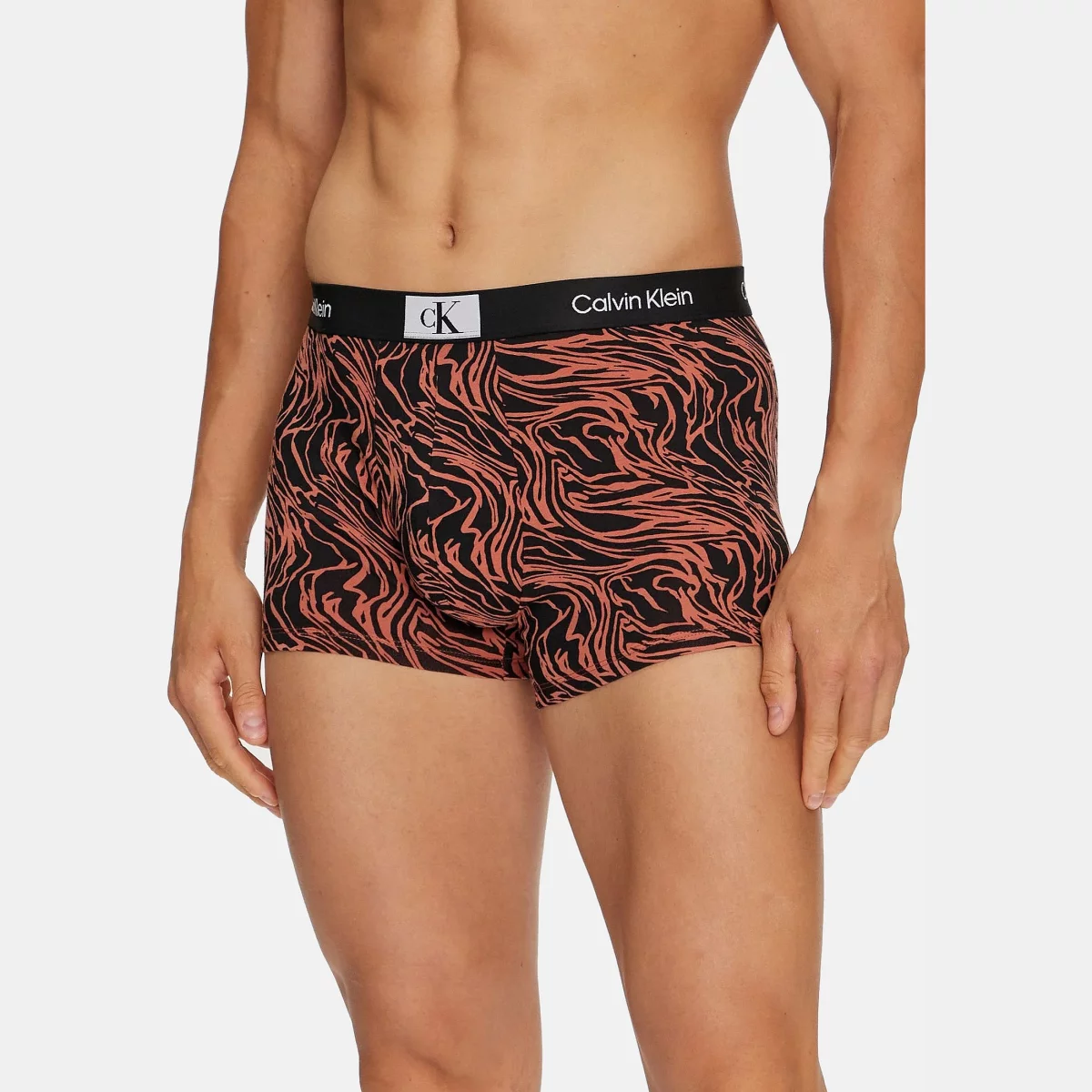 67b6ec76e3bcacalvin_klein_underwear_set_mpoxerakia_3_tmkh_000nb3528e_egkhromo_0000303410988_1_